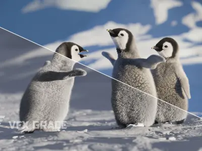 Baby Emperor Penguin Animated VFX Grace 3D model