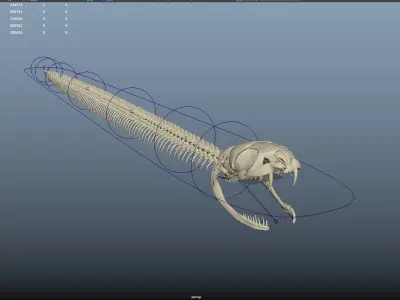  Snake skeleton rigged 