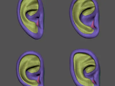 Ear Set 3D model