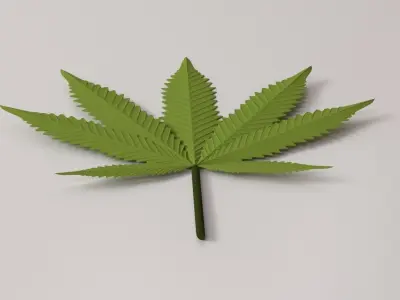 Cannabis Leaf 3D model
