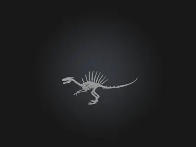 Realistic Spinosaurus Skeleton Model Low-poly 3D model