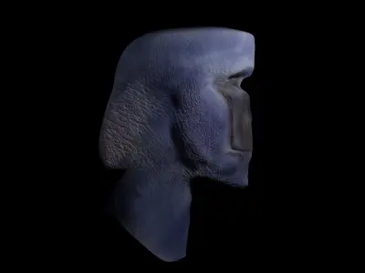 Alien head 3D model order