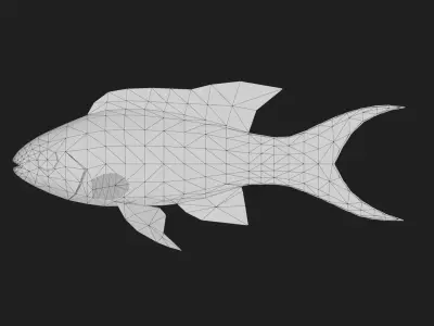 Serranidae Low-poly 3D model buy