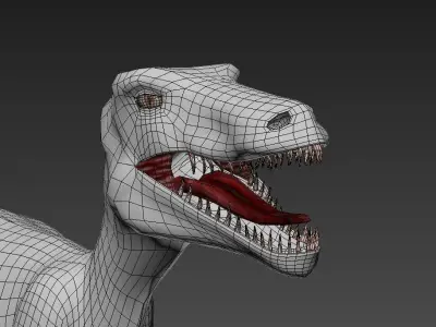 Velociraptor dinosaur 3D model 3