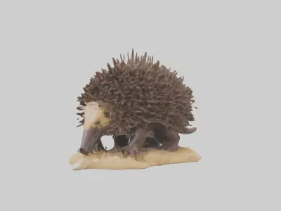 Echidna digging model 3D model