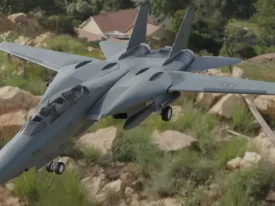 F14 TOMCAT 3D model by jedidaichi