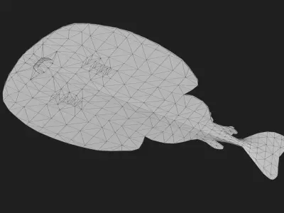 Skate Low-poly 3D model buy