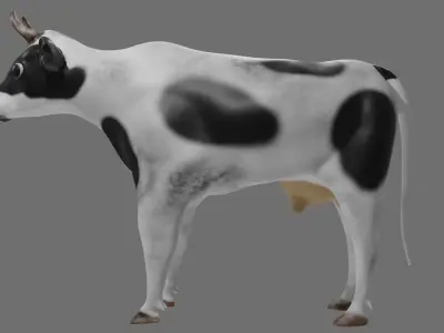 Holstien Frisian Cow model Low-poly 3D model