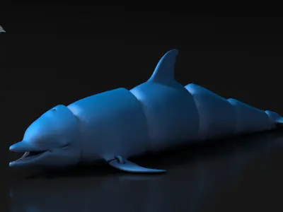 Articulated Dolphin 3D print model