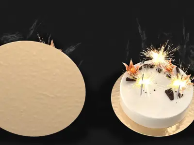 Celebration Mousse Cake with Sparklers and Physalis Decoration 3D model