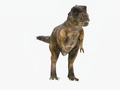 Tyrannosaurus Rex Low-poly 3D model 11