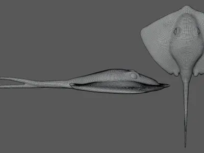 Stingray Low-poly 3D model