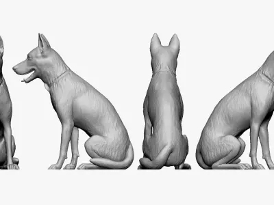001207 shepherd 3D model