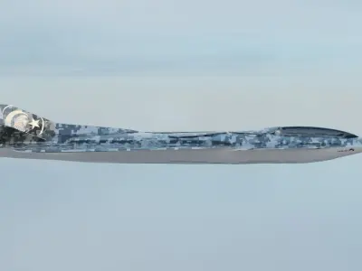 SU2 WAR PLANE 3D model