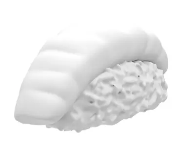 Salmon sushi 3D model