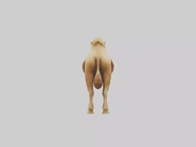 Camel Humps Model Low-poly 3D model