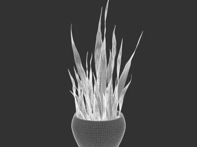  Snake Plant Potted Plant Model  purchase