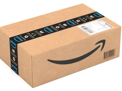 Cardboard Box Amazon 3D model