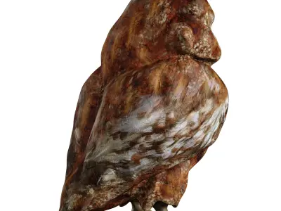 The Owl Bird 3D model