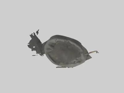 Gunpowder Low-poly 3D model