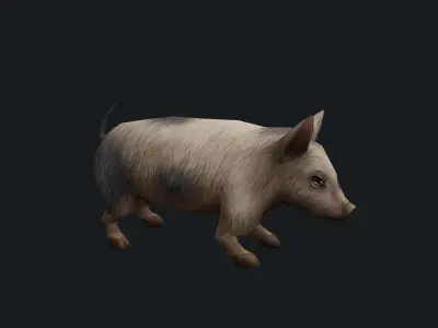 animated pig Low-poly 3D model