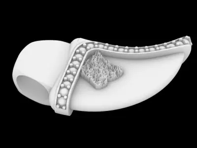 african lion claw necklace 3D print model