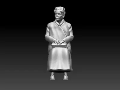 PASSENGER 3D print model 15