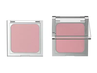 Eye Shadow or Blusher 3D model