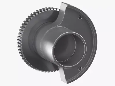Spur Cam Gear 3D model