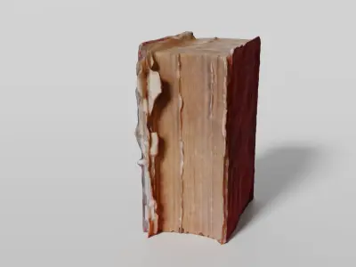 A worn old book 3D model