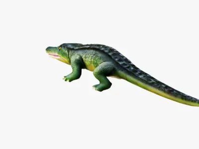Alligator Free 3D model