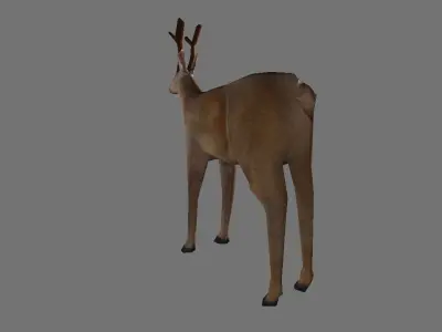 Brown Deer Low Poly Low-poly 3D model