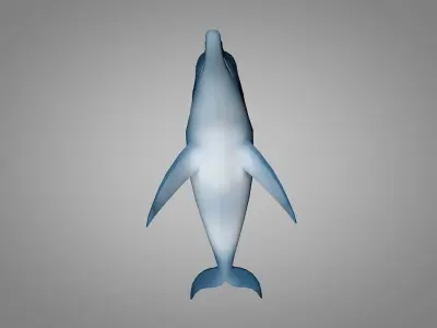 Dolphin Low-poly 3D model order