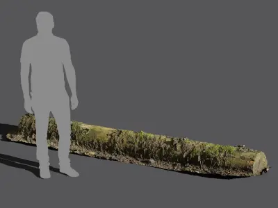  Large Decaying Mossy Forest Log Model 