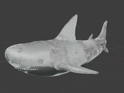 Shark Stuffed Animal 3D model
