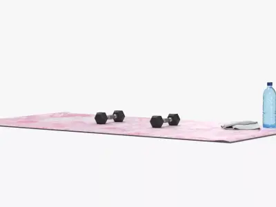 Training Area with Hex Dumbbells on Mat 3D model