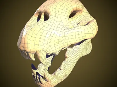 Stylized Cheetah Skull Low-poly 3D model