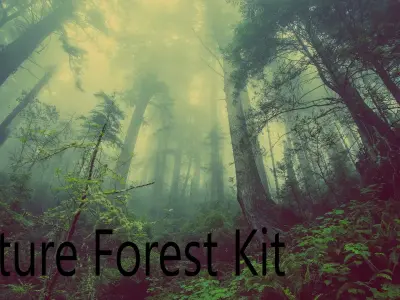 Nature Forest Kit Low-poly 3D model