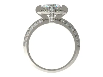 Ring 0142 3D print model