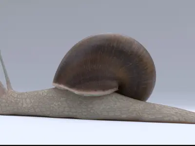 Snail Low-poly 3D model shop