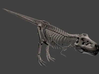 T-Rex skeleton 3D model