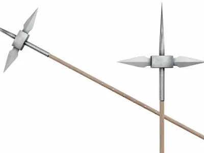 Collection of 40 spears and halberds 3D model