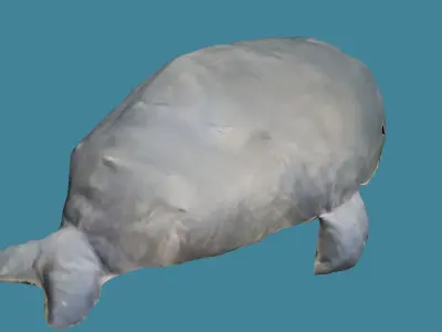 Whale Plush Toy Low-poly 3D model