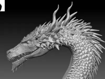 Very detailed Dragon Head Sculpt 3D model