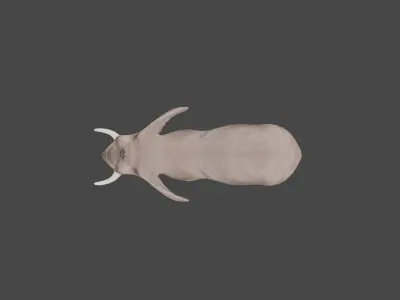 Elephant Animal Low-poly 3D model