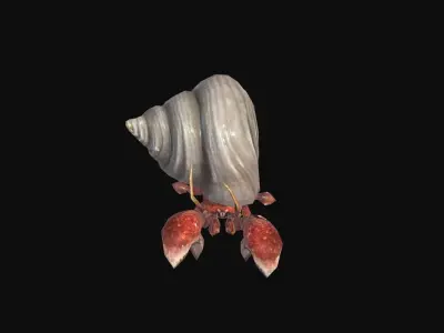 animated Hermit crab Low-poly 3D model