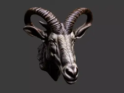 Deer Animal Head Low-poly 3D model 8