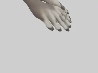 Raccoon Paws Model Low-poly 3D model