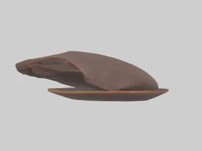 Moose Liver Low-poly 3D model