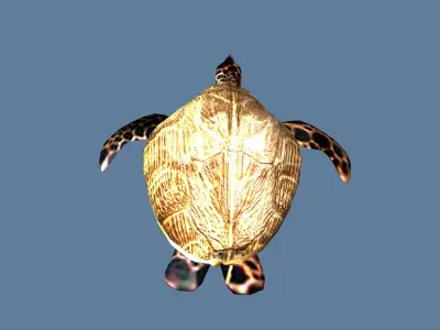 golden turtle Low-poly 3D model